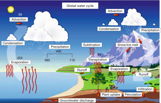 Hydrology Hydrology